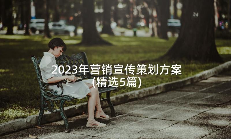 2023年营销宣传策划方案(精选5篇)