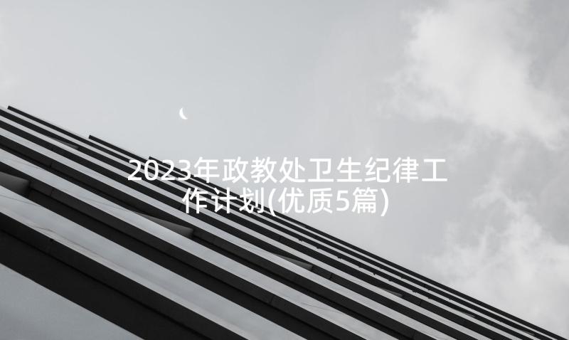 2023年政教处卫生纪律工作计划(优质5篇)