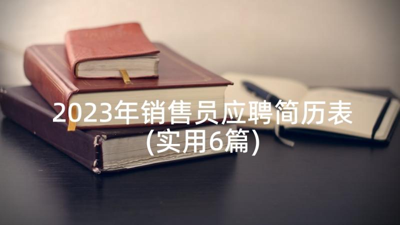 2023年销售员应聘简历表(实用6篇)