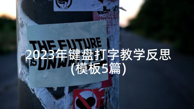 2023年键盘打字教学反思(模板5篇)