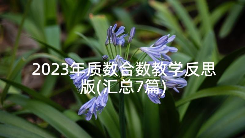 2023年质数合数教学反思版(汇总7篇)