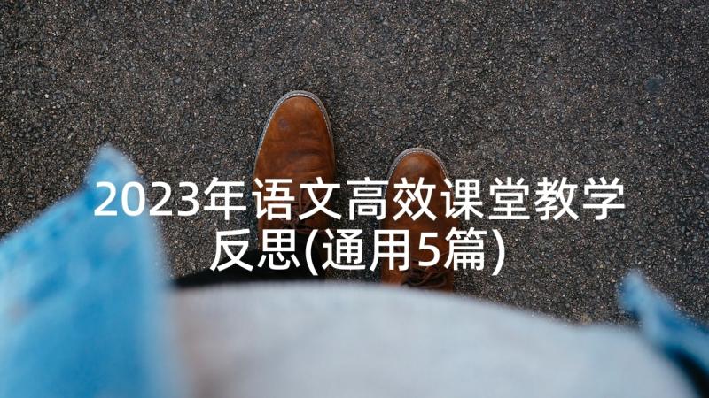 2023年语文高效课堂教学反思(通用5篇)