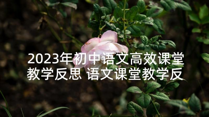 2023年初中语文高效课堂教学反思 语文课堂教学反思(汇总8篇)