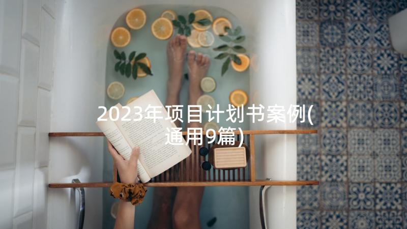 2023年项目计划书案例(通用9篇)