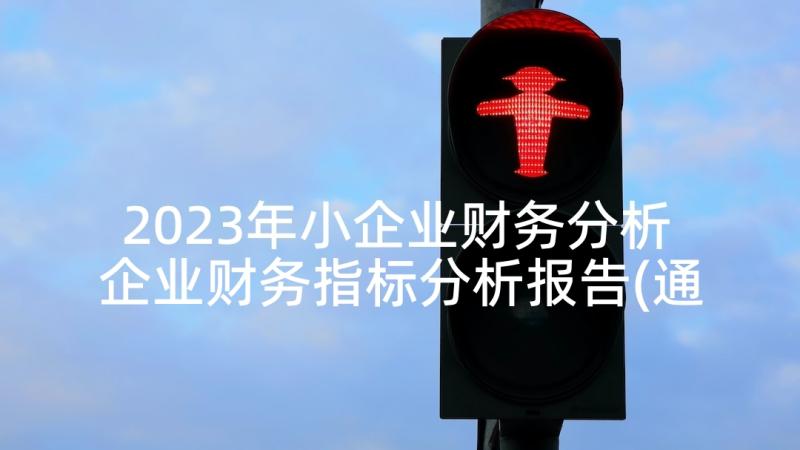 2023年小企业财务分析 企业财务指标分析报告(通用7篇)