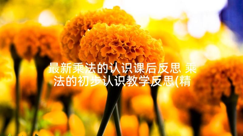 最新乘法的认识课后反思 乘法的初步认识教学反思(精选10篇)