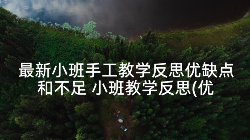 最新小班手工教学反思优缺点和不足 小班教学反思(优质5篇)