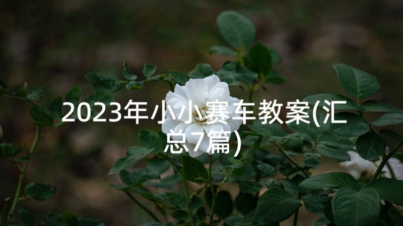 2023年小小赛车教案(汇总7篇)