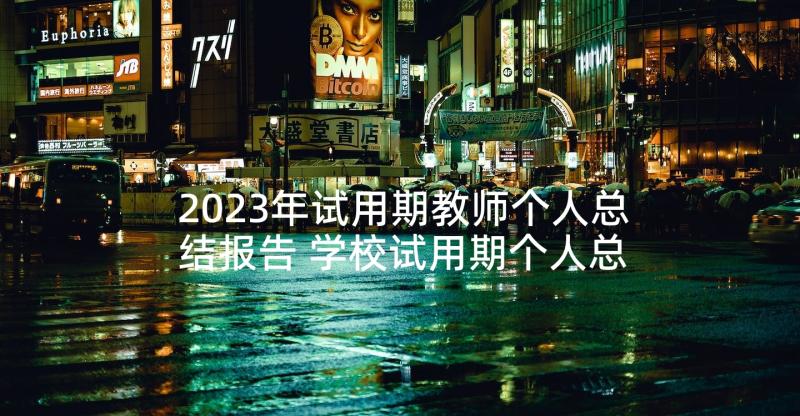 2023年试用期教师个人总结报告 学校试用期个人总结报告(通用6篇)