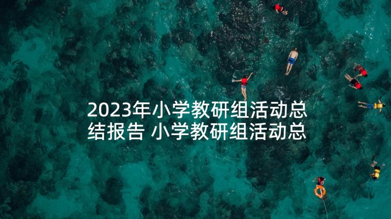 2023年小学教研组活动总结报告 小学教研组活动总结(优质5篇)