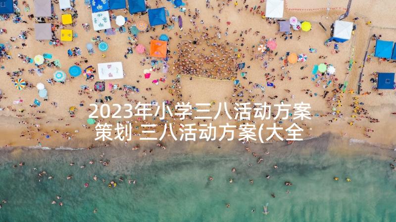 2023年小学三八活动方案策划 三八活动方案(大全8篇)