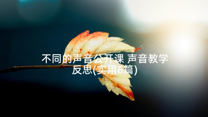 不同的声音公开课 声音教学反思(实用6篇)