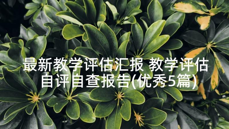 最新教学评估汇报 教学评估自评自查报告(优秀5篇)