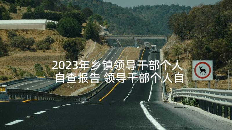 2023年乡镇领导干部个人自查报告 领导干部个人自查报告(实用6篇)