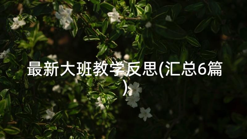 最新大班教学反思(汇总6篇)