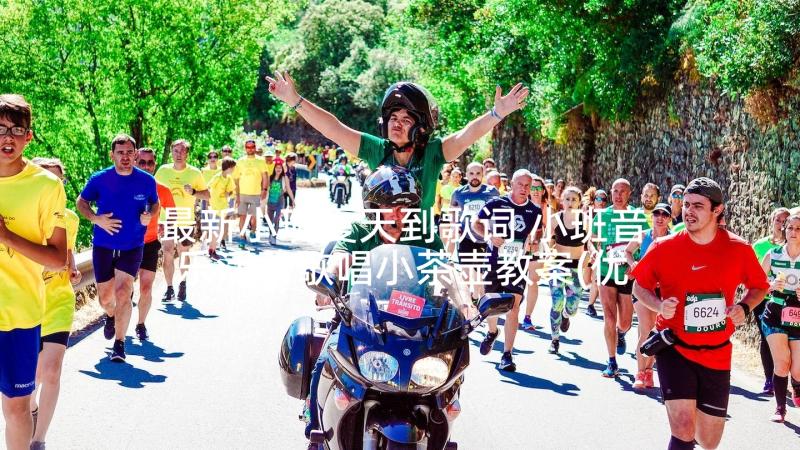 最新小班夏天到歌词 小班音乐活动歌唱小茶壶教案(优质5篇)