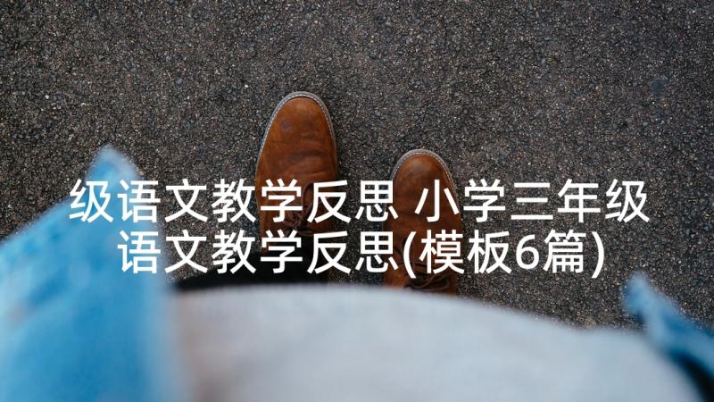 级语文教学反思 小学三年级语文教学反思(模板6篇)