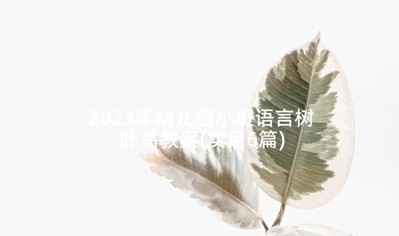 2023年幼儿园小班语言树叶鸟教案(实用6篇)