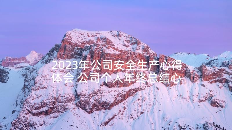 2023年公司安全生产心得体会 公司个人年终总结心得体会(实用5篇)