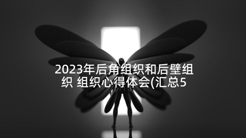 2023年后角组织和后壁组织 组织心得体会(汇总5篇)