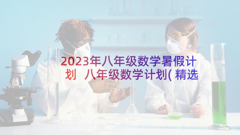 2023年八年级数学暑假计划 八年级数学计划(精选5篇)