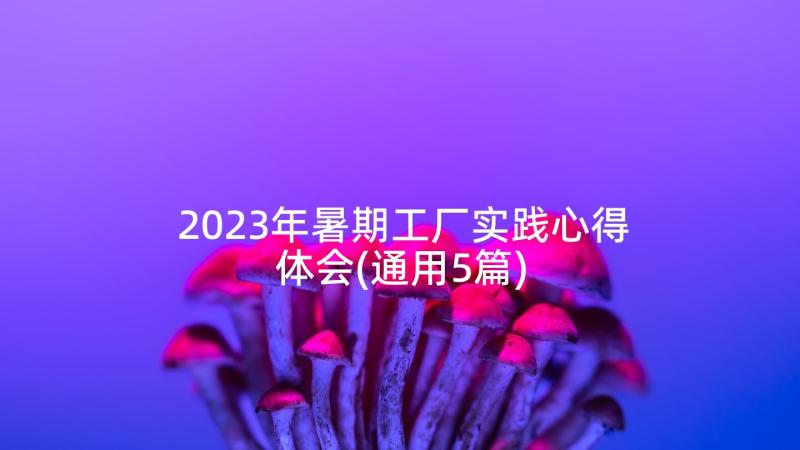 2023年暑期工厂实践心得体会(通用5篇)