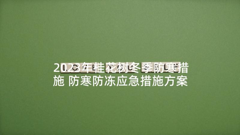 2023年桂花树冬季防寒措施 防寒防冻应急措施方案(优秀5篇)