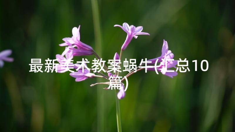 最新美术教案蜗牛(汇总10篇)