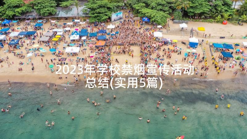 2023年学校禁烟宣传活动总结(实用5篇)