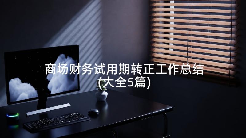 商场财务试用期转正工作总结(大全5篇)