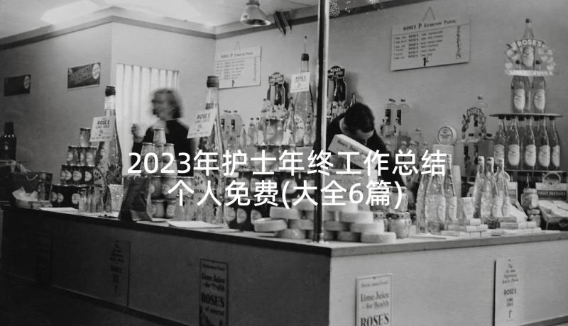 2023年护士年终工作总结个人免费(大全6篇)