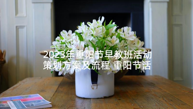 2023年重阳节早教班活动策划方案及流程 重阳节活动策划方案重阳节活动策划书(模板6篇)