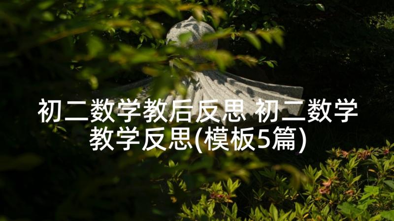 初二数学教后反思 初二数学教学反思(模板5篇)