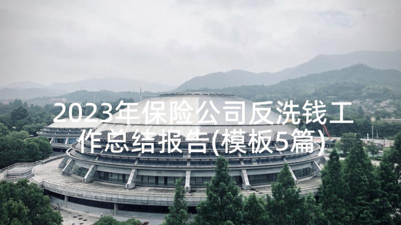 2023年保险公司反洗钱工作总结报告(模板5篇)