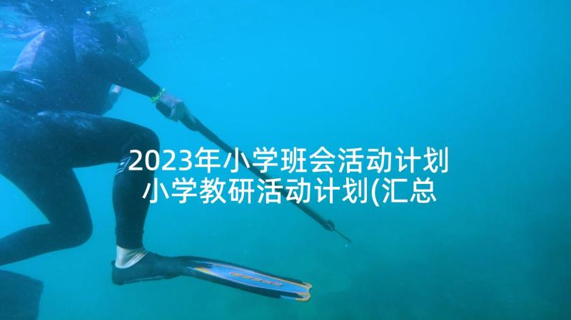 2023年小学班会活动计划 小学教研活动计划(汇总8篇)