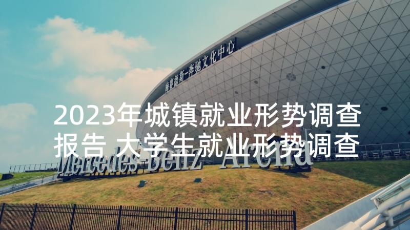 2023年城镇就业形势调查报告 大学生就业形势调查报告汇编(汇总5篇)