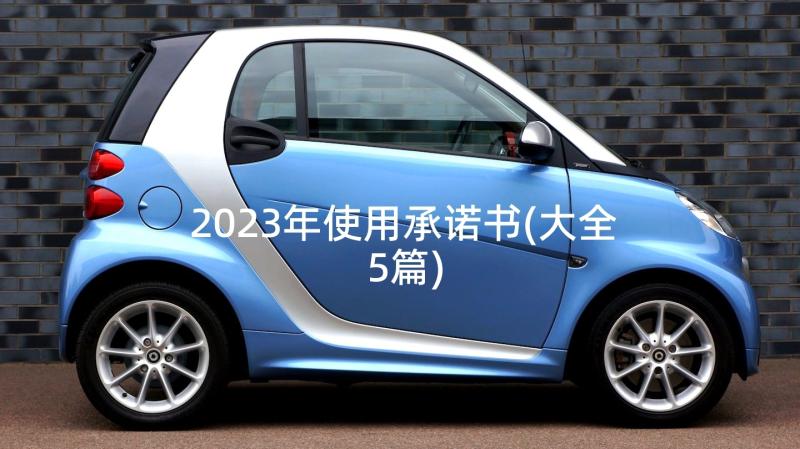 2023年使用承诺书(大全5篇)