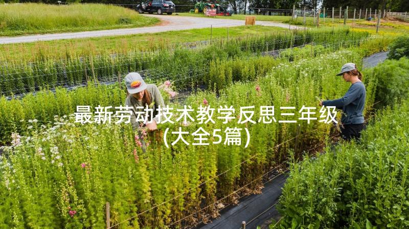 最新劳动技术教学反思三年级(大全5篇)