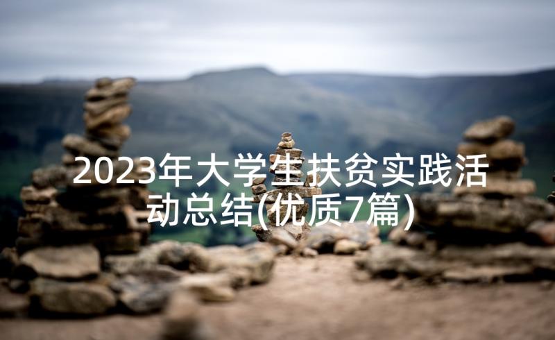 2023年大学生扶贫实践活动总结(优质7篇)