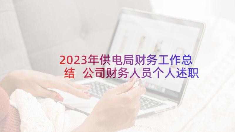 2023年供电局财务工作总结 公司财务人员个人述职报告(精选5篇)