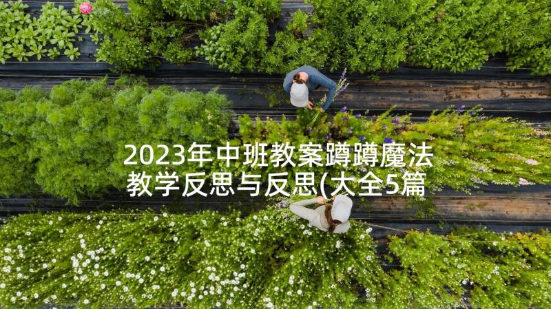 2023年中班教案蹲蹲魔法教学反思与反思(大全5篇)