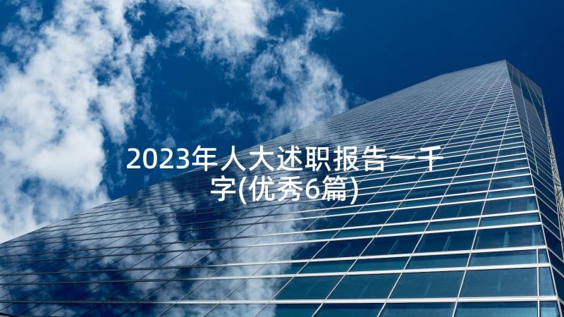 2023年人大述职报告一千字(优秀6篇)