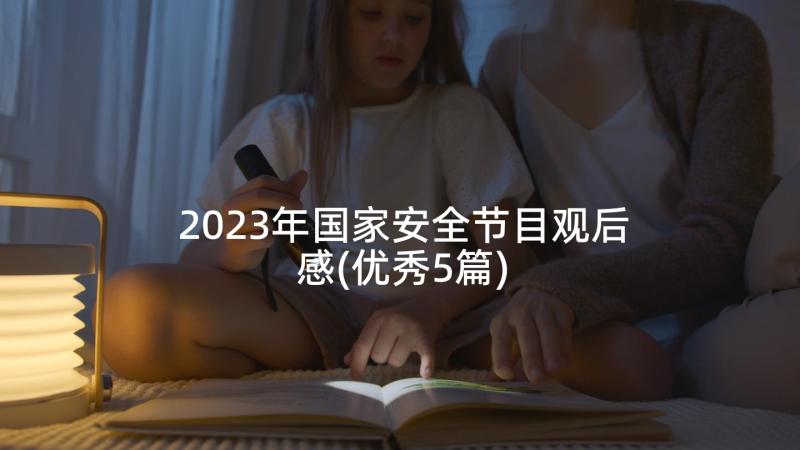 2023年国家安全节目观后感(优秀5篇)