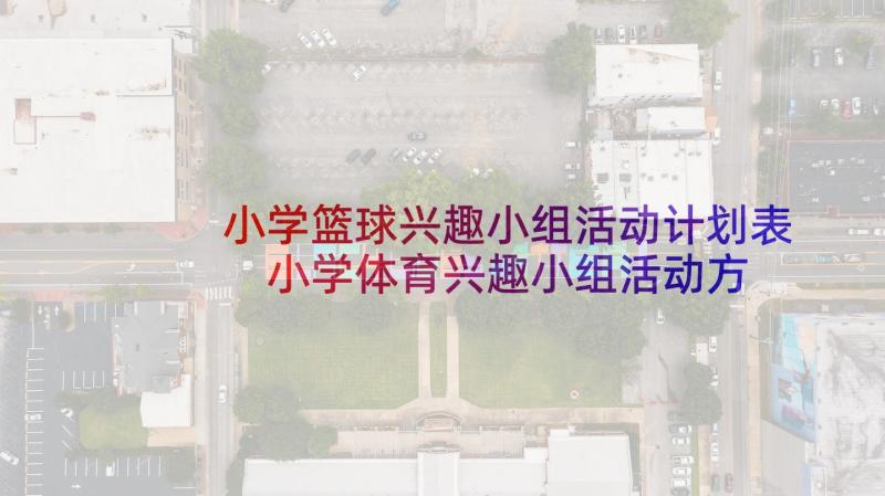 小学篮球兴趣小组活动计划表 小学体育兴趣小组活动方案(模板5篇)