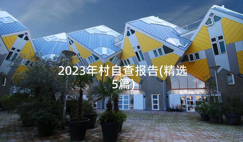 2023年村自查报告(精选5篇)