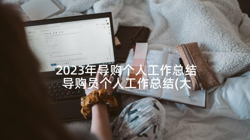 2023年导购个人工作总结 导购员个人工作总结(大全5篇)