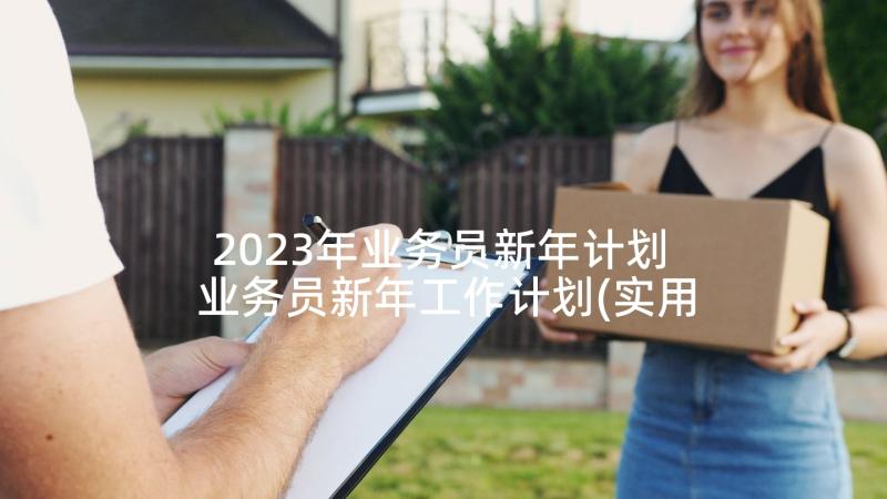 2023年业务员新年计划 业务员新年工作计划(实用5篇)