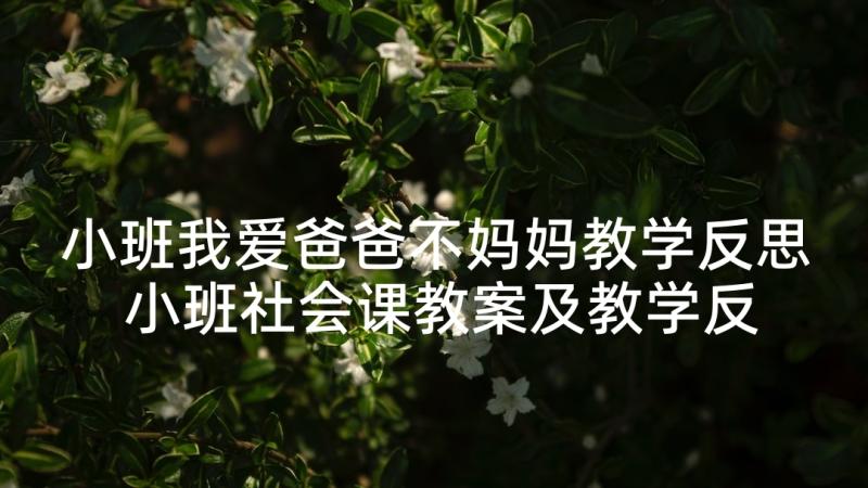 小班我爱爸爸不妈妈教学反思 小班社会课教案及教学反思当一回爸爸妈妈(汇总5篇)