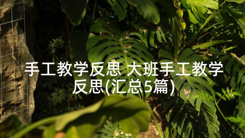 手工教学反思 大班手工教学反思(汇总5篇)