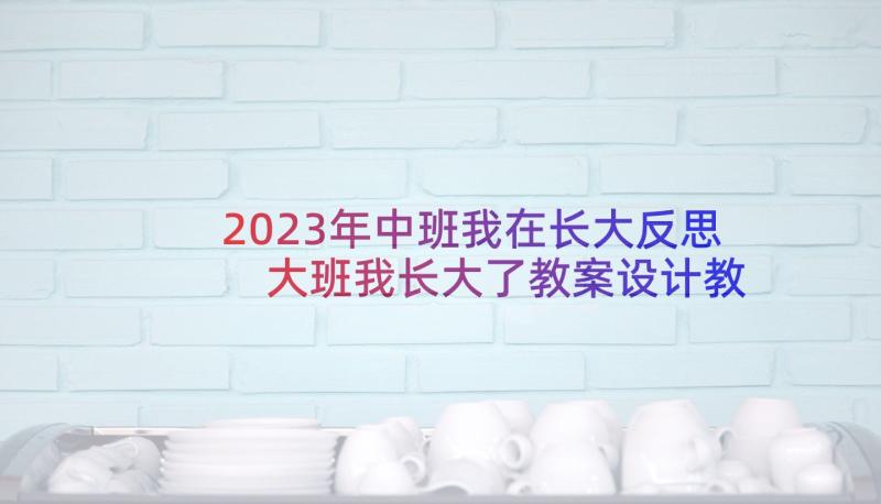 2023年中班我在长大反思 大班我长大了教案设计教学反思(优质6篇)